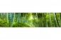 Preview: Küchenrückwand Aluverbund Bambus Wald Preview: Küchenrückwand Aluverbund Bambus Wald