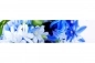 Preview: Küchenrückwand Aluverbund Blumen Preview: Küchenrückwand Aluverbund Blumen