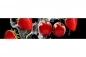Preview: Küchenrückwand Aluverbund Cherry Strawberry Preview: Küchenrückwand Aluverbund Cherry Strawberry