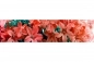 Preview: Küchenrückwand Aluverbund Tropische Blumen Preview: Küchenrückwand Aluverbund Tropische Blumen