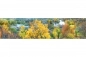 Preview: Küchenrückwand Aluverbund Natur Herbst Fluss Preview: Küchenrückwand Aluverbund Natur Herbst Fluss