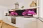Preview: Küchenrückwand Aluverbund Pinke Orchideen Preview: Küchenrückwand Aluverbund Pinke Orchideen