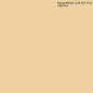 Preview: Küchenrückwand Einfarbig Beige Gelb Preview: Küchenrückwand Einfarbig Beige Gelb