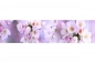 Preview: Küchenrückwand Folie Kirschblüten Preview: Küchenrückwand Folie Kirschblüten