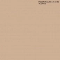 Preview: Küchenrückwand Aluverbund Einfarbig Pfirsich Beige Preview: Küchenrückwand Aluverbund Einfarbig Pfirsich Beige