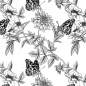 Preview: Küchenrückwand Hartschaumplatte Blumen Schmetterling Preview: Küchenrückwand Hartschaumplatte Blumen Schmetterling