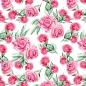 Preview: Küchenrückwand Hartschaumplatte Rosen Preview: Küchenrückwand Hartschaumplatte Rosen