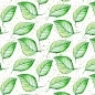 Preview: Küchenrückwand Hartschaumplatte Natur Grüne Blätter Preview: Küchenrückwand Hartschaumplatte Natur Grüne Blätter