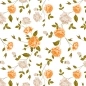 Preview: Küchenrückwand Hartschaumplatte Orange Rosen Preview: Küchenrückwand Hartschaumplatte Orange Rosen
