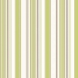 Preview: Küchenrückwand Aluverbund Grünfarbige Streifen