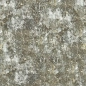 Preview: Küchenrückwand Aluverbund Vintage Betonwand Preview: Küchenrückwand Aluverbund Vintage Betonwand
