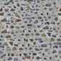 Preview: Küchenrückwand Hartschaumplatte Antik Felsenmauer Preview: Küchenrückwand Hartschaumplatte Antik Felsenmauer