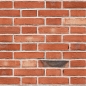 Preview: Küchenrückwand Acrylglas Backsteinwand Rot