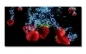 Preview: Spritzschutz Küche Hartschaumplatte Erdbeeren im Wasser Preview: Spritzschutz Küche Hartschaumplatte Erdbeeren im Wasser