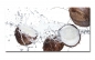 Preview: Spritzschutz Küche Acrylglas Kokosnuss Splash