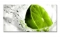 Preview: Spritzschutz Küche Limette Fresh Preview: Spritzschutz Küche Limette Fresh