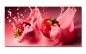 Preview: Spritzschutz Küche Rote Erdbeeren Splash Preview: Spritzschutz Küche Rote Erdbeeren Splash
