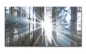 Preview: Spritzschutz Küche Hartschaumplatte Wald Sonnenlicht Preview: Spritzschutz Küche Hartschaumplatte Wald Sonnenlicht