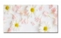 Preview: Spritzschutz Küche Hartschaumplatte Blumen Preview: Spritzschutz Küche Hartschaumplatte Blumen