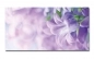 Preview: Spritzschutz Küche Hartschaumplatte Lila Blüte Preview: Spritzschutz Küche Hartschaumplatte Lila Blüte