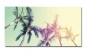 Preview: Spritzschutz Küche Hartschaumplatte Palmen Sonnenschein Preview: Spritzschutz Küche Hartschaumplatte Palmen Sonnenschein
