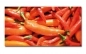 Preview: Spritzschutz Küche Acrylglas Peperoni Preview: Spritzschutz Küche Acrylglas Peperoni