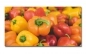 Preview: Spritzschutz Küche Acrylglas Bunte Paprika Preview: Spritzschutz Küche Acrylglas Bunte Paprika