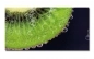 Preview: Spritzschutz Küche Hartschaumplatte Kiwi Sprudel Preview: Spritzschutz Küche Hartschaumplatte Kiwi Sprudel