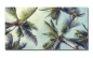 Preview: Spritzschutz Küche Aluverbund Palmen Preview: Spritzschutz Küche Aluverbund Palmen
