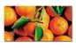 Preview: Spritzschutz Küche Aluverbund Mandarinen Preview: Spritzschutz Küche Aluverbund Mandarinen