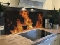 Preview: Spritzschutz Küche Acrylglas Feuer Preview: Spritzschutz Küche Acrylglas Feuer
