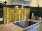 Preview: Spritzschutz Küche Acrylglas Birkenwald