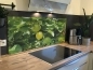 Preview: Spritzschutz Küche Acrylglas Zitronenbaum Preview: Spritzschutz Küche Acrylglas Zitronenbaum