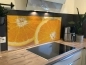 Preview: Spritzschutz Küche Acrylglas Orangen Preview: Spritzschutz Küche Acrylglas Orangen