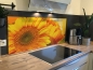 Preview: Spritzschutz Küche Acrylglas Sonnenblumen