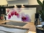 Preview: Spritzschutz Küche Hartschaumplatte Orchidee Preview: Spritzschutz Küche Hartschaumplatte Orchidee