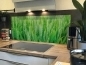 Preview: Spritzschutz Küche Acrylglas Grüner Weizenfeld Preview: Spritzschutz Küche Acrylglas Grüner Weizenfeld