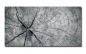 Preview: Spritzschutz Küche Hartschaumplatte Holzoptik Preview: Spritzschutz Küche Hartschaumplatte Holzoptik