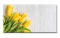 Preview: Spritzschutz Küche Hartschaumplatte Holzoptik Preview: Spritzschutz Küche Hartschaumplatte Holzoptik