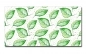 Preview: Spritzschutz Küche Natur Grüne Blätter Preview: Spritzschutz Küche Natur Grüne Blätter