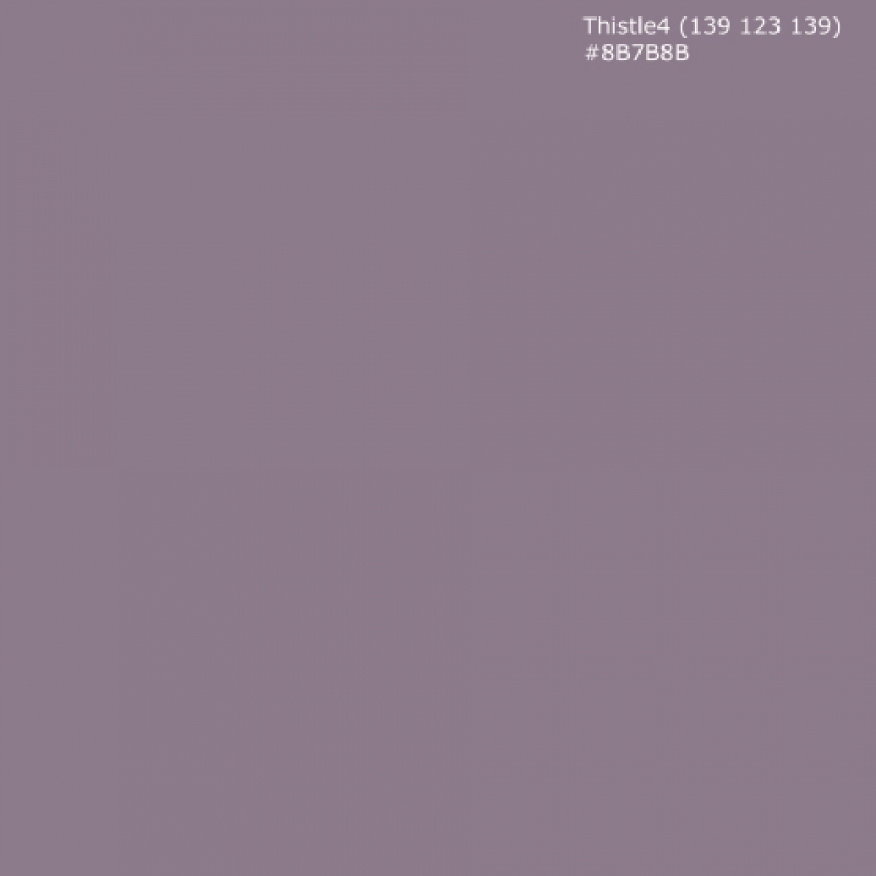 Küchenrückwand Einfarbig Dunkel Distel Violett