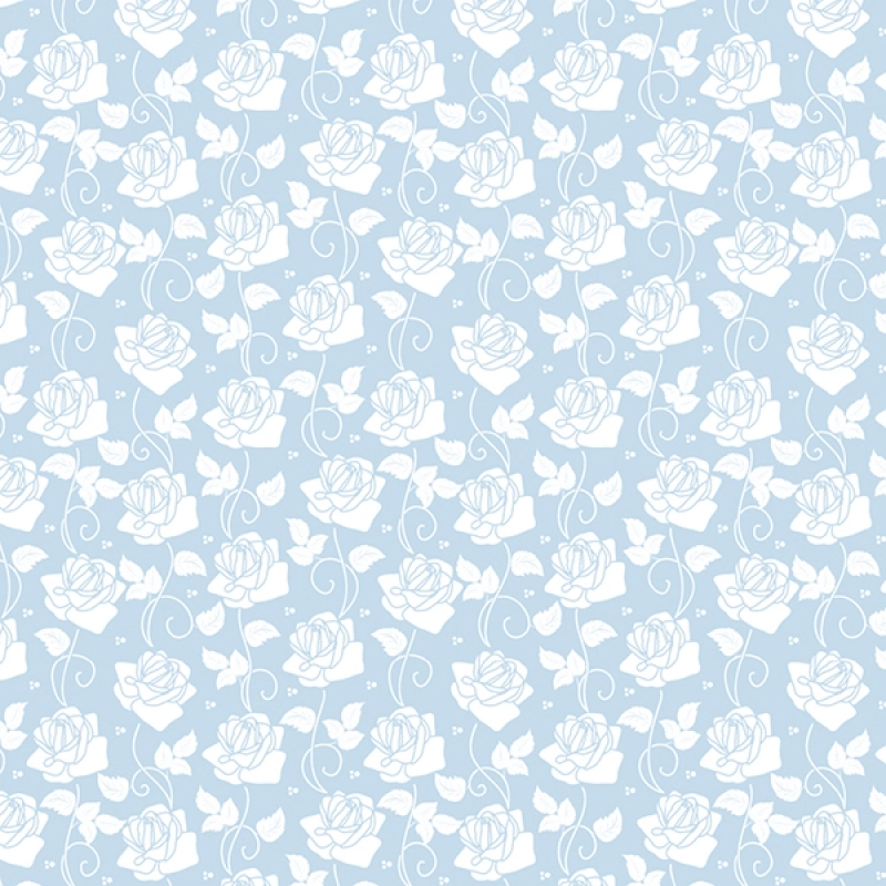 Küchenrückwand Hartschaumplatte Rosen Babyblau