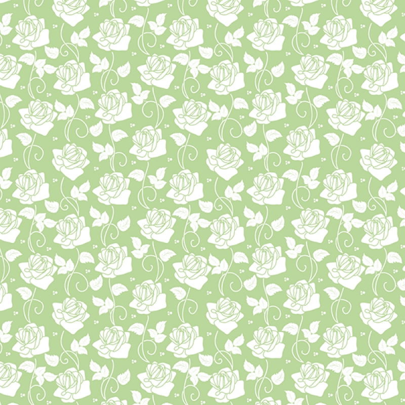 Küchenrückwand Aluverbund Rosen Hellgrün