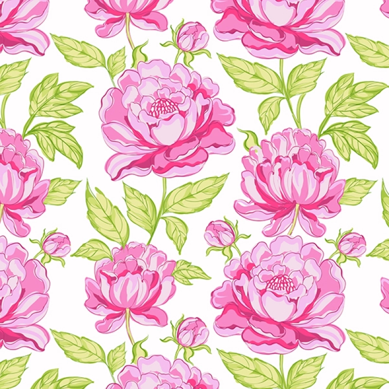 Küchenrückwand Hartschaumplatte Pink Rosen