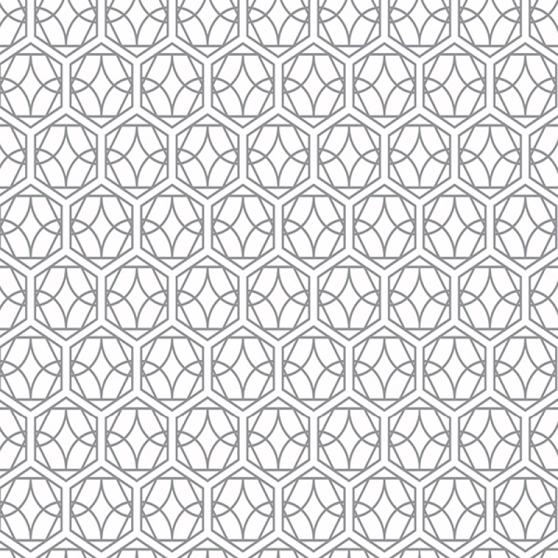 Küchenrückwand Hartschaumplatte Hexagon Ornament