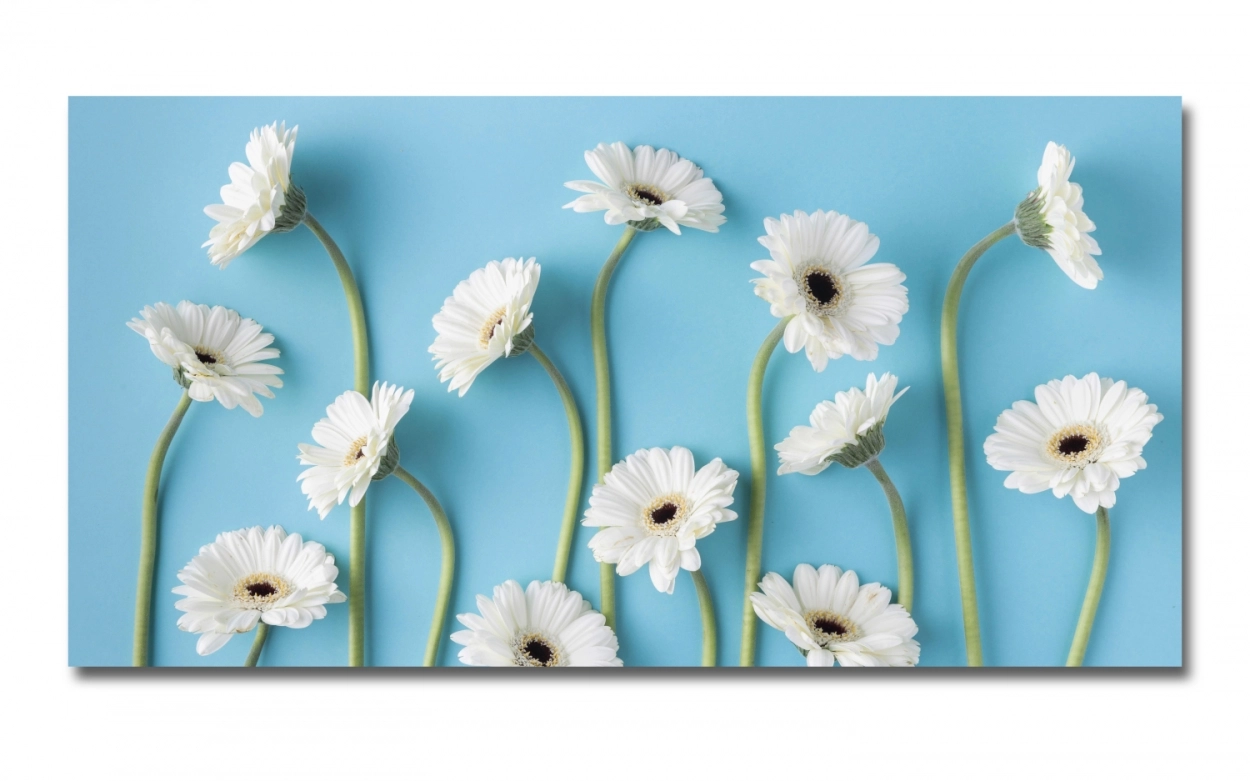Spritzschutz Küche Hartschaumplatte Blau Weiße Blumen