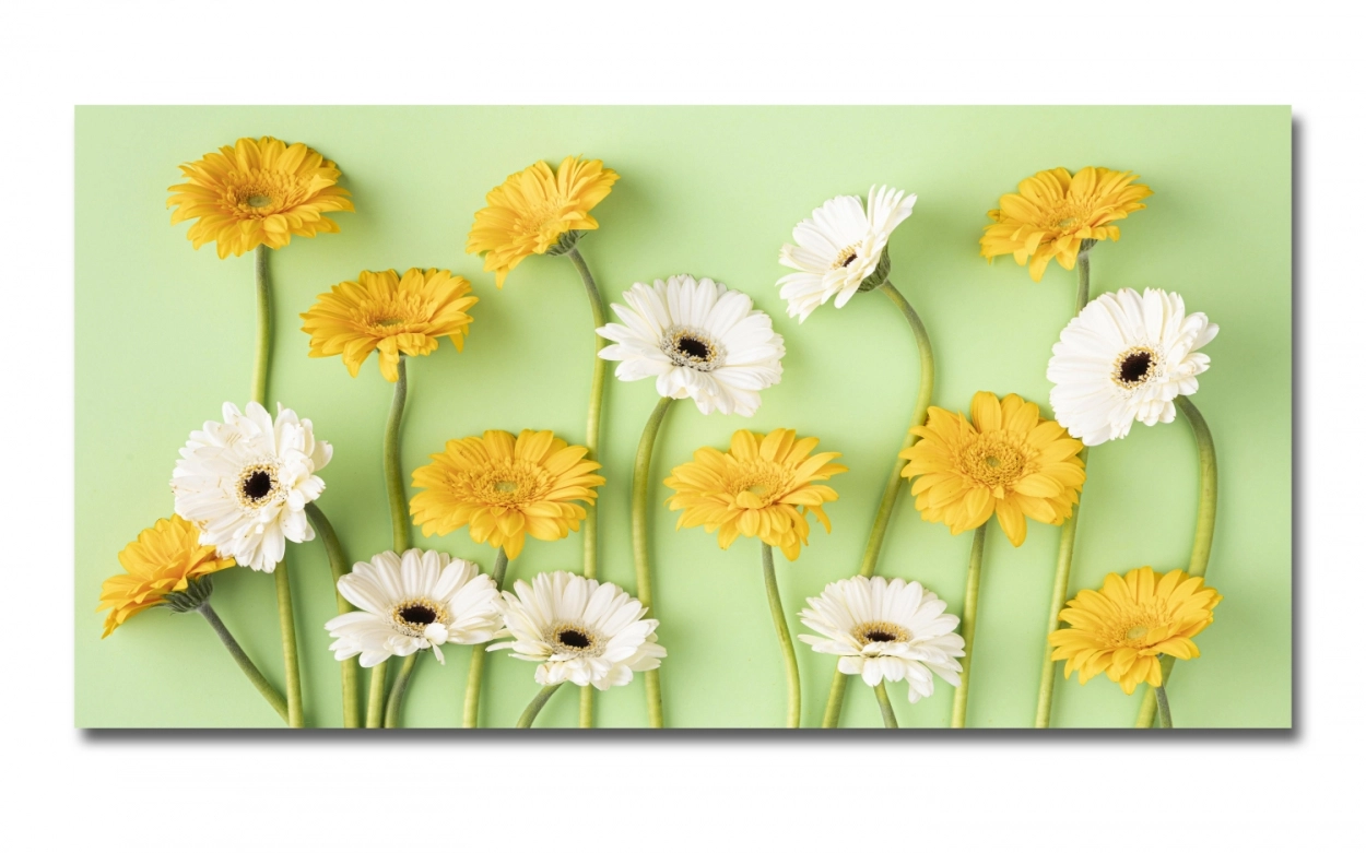 Spritzschutz Küche Hartschaumplatte Gelb Weiße Blumen