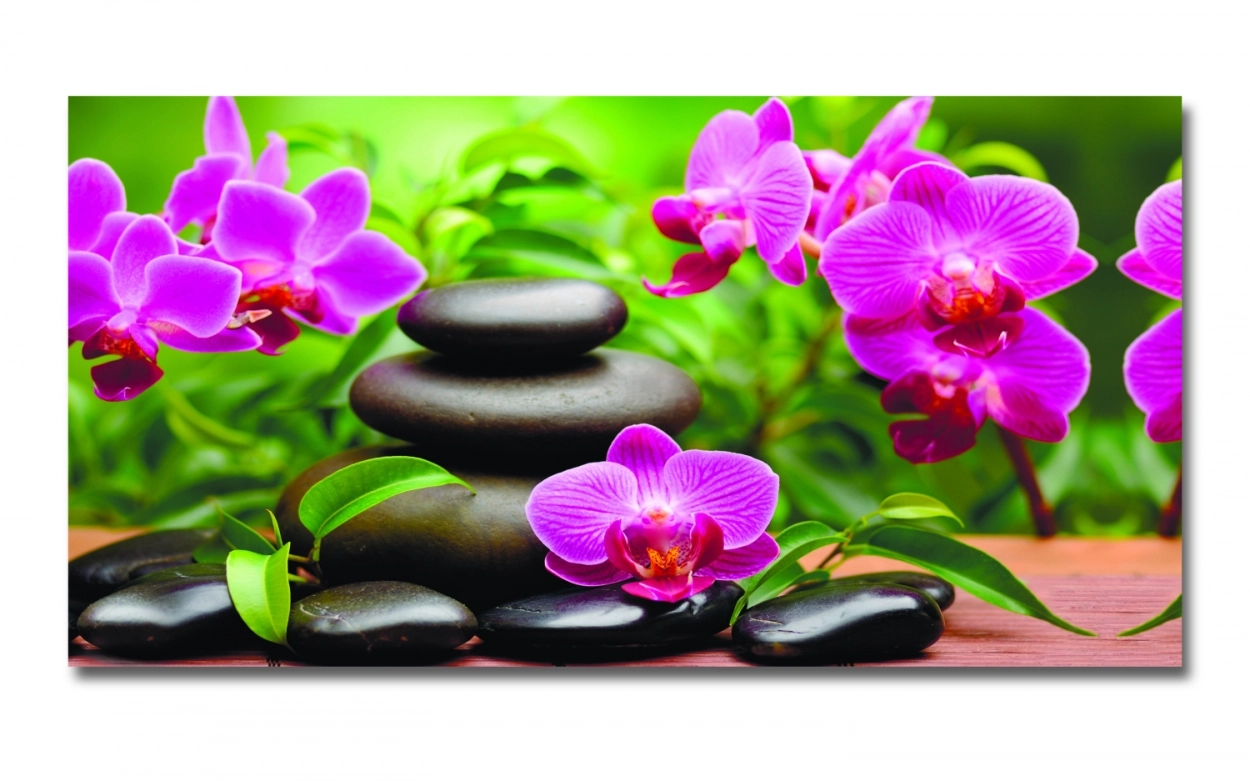Spritzschutz Küche Hartschaumplatte Wellness Orchidee