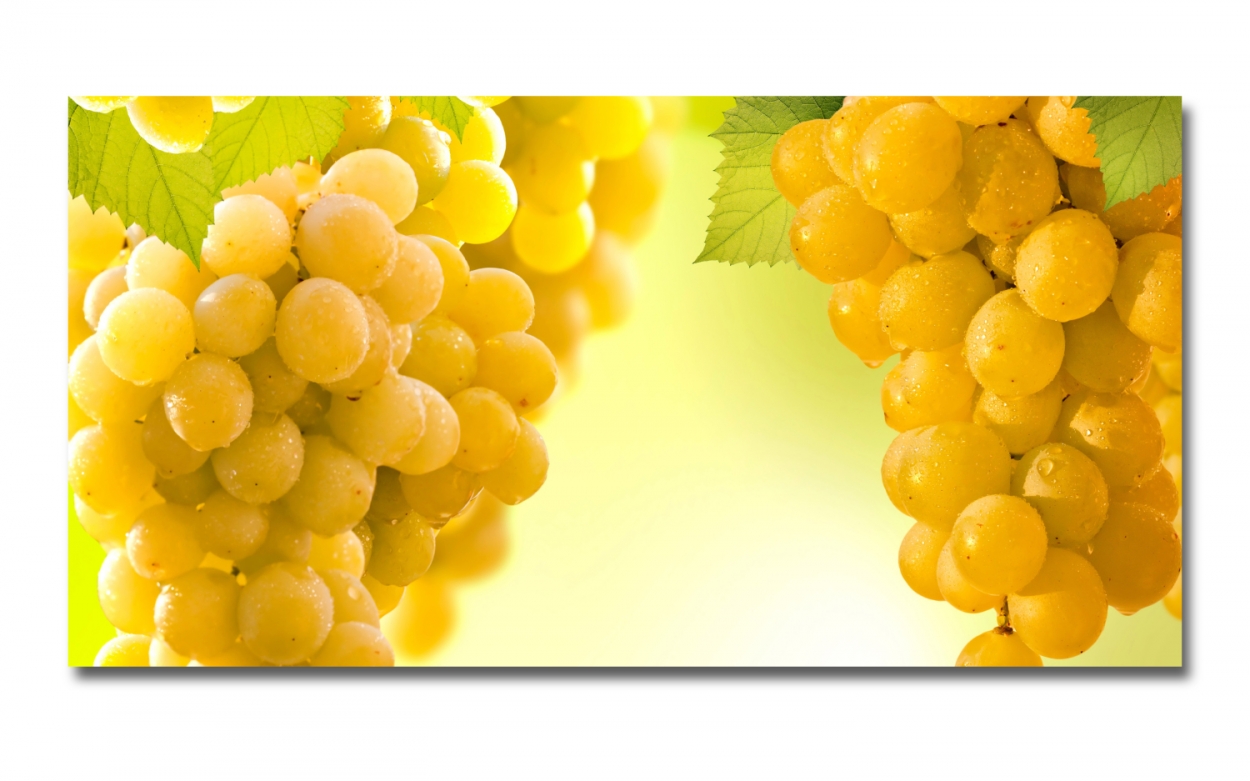 Spritzschutz Küche Trauben