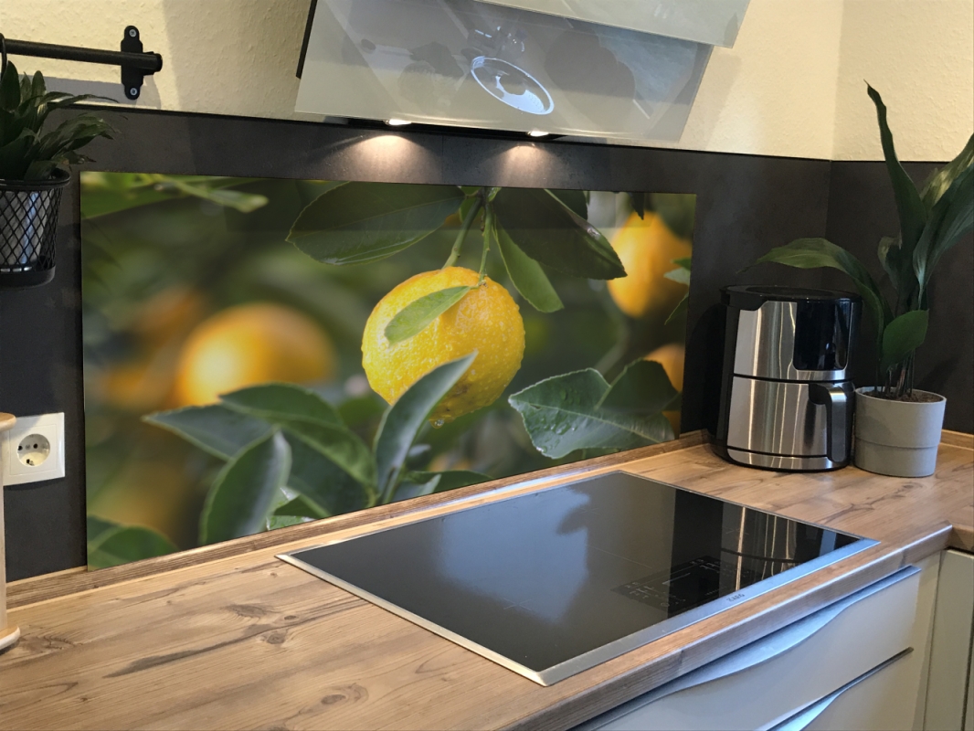Spritzschutz Küche Acrylglas Zitronenbaum
